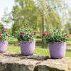 Pot Palermo lavendel D13 H12 Pot Palermo lavendel D13 H12
